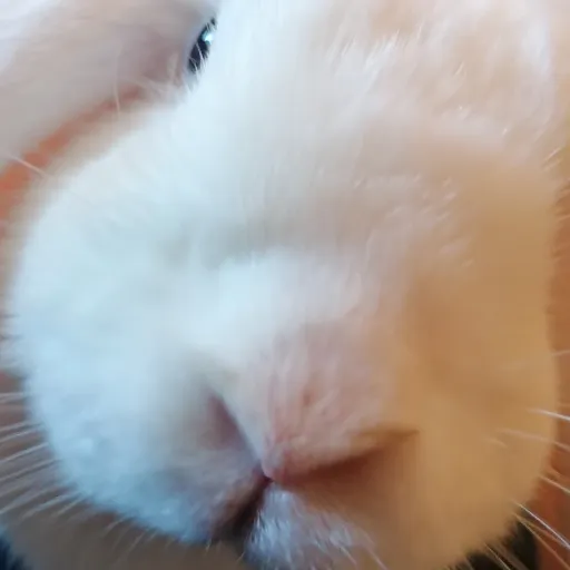 creator shagy🤍🍤's avatar