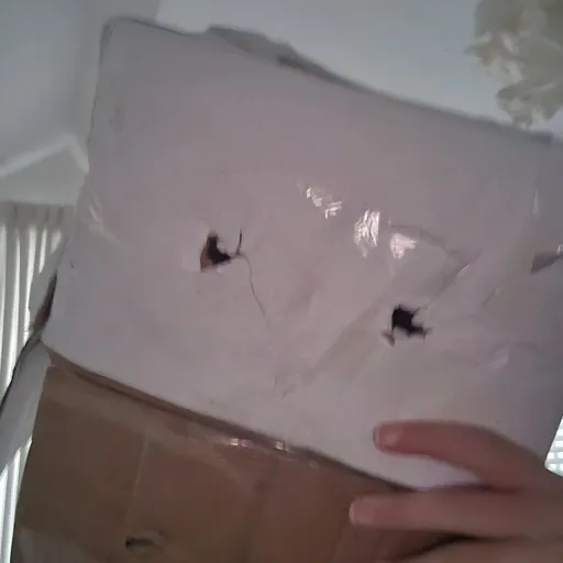 creator Box_Head's avatar