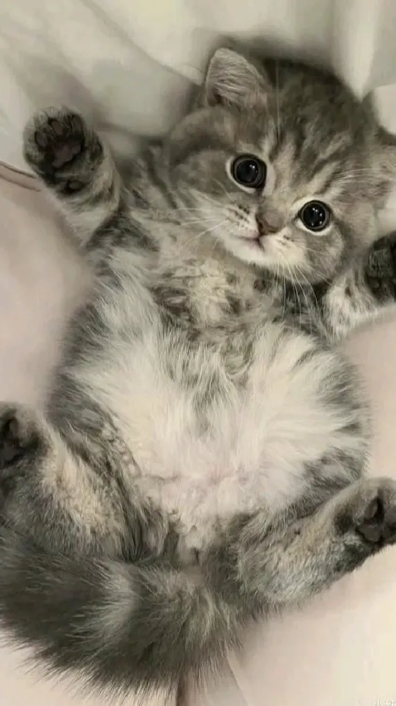 ai character: michi background