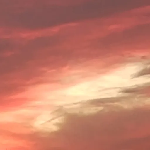 creator I'm cute follow me's avatar