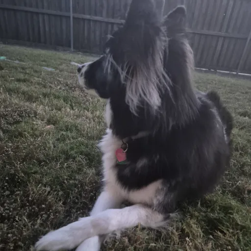 creator Jakе's avatar