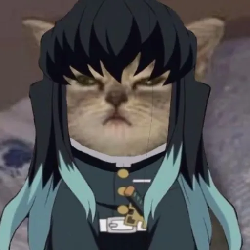 creator Mui_is_my_pookie🩵's avatar