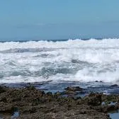 creator nashlyn's avatar