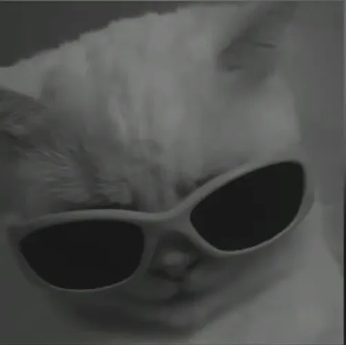 creator Mori 偽の日本人's avatar