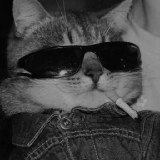 creator Loes's avatar