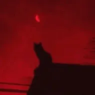 creator JA¥L€€N's avatar