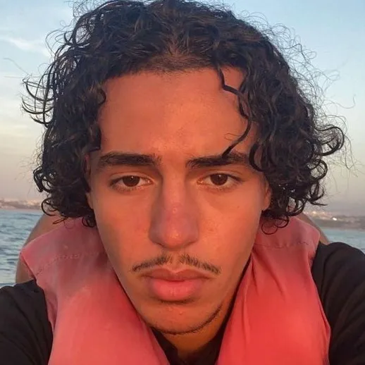 chat with ai character: Amir