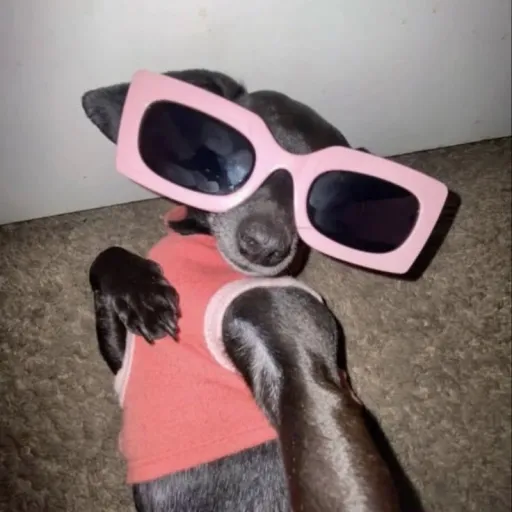 creator Talkior-dRhiR2xj's avatar