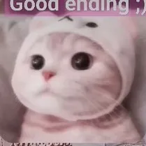 creator Heisha the kitty's avatar