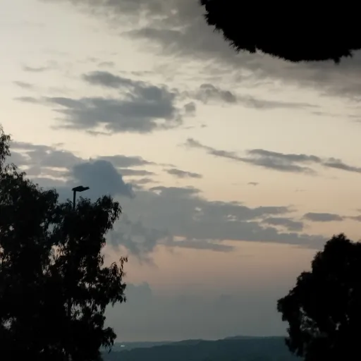 creator .gvv's avatar