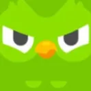 chat with ai character: Angry Duolingo