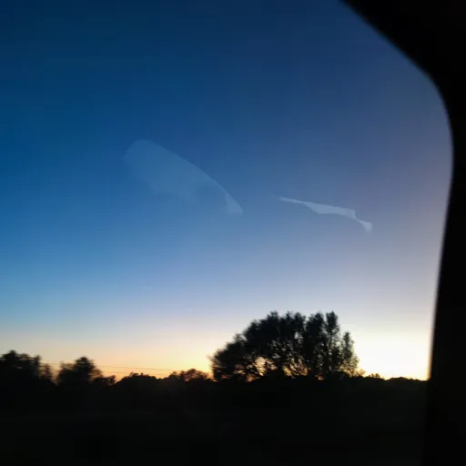 creator Sara636293's avatar