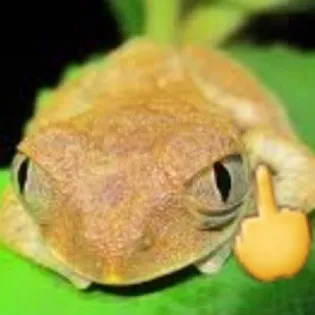 creator dryan w2's avatar