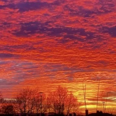 creator Just a chill dude's avatar