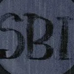 chat with ai character: dsmp meets Gb!dsmp