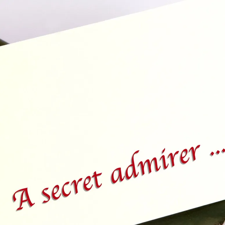 chat with ai character: y/n secret admirer