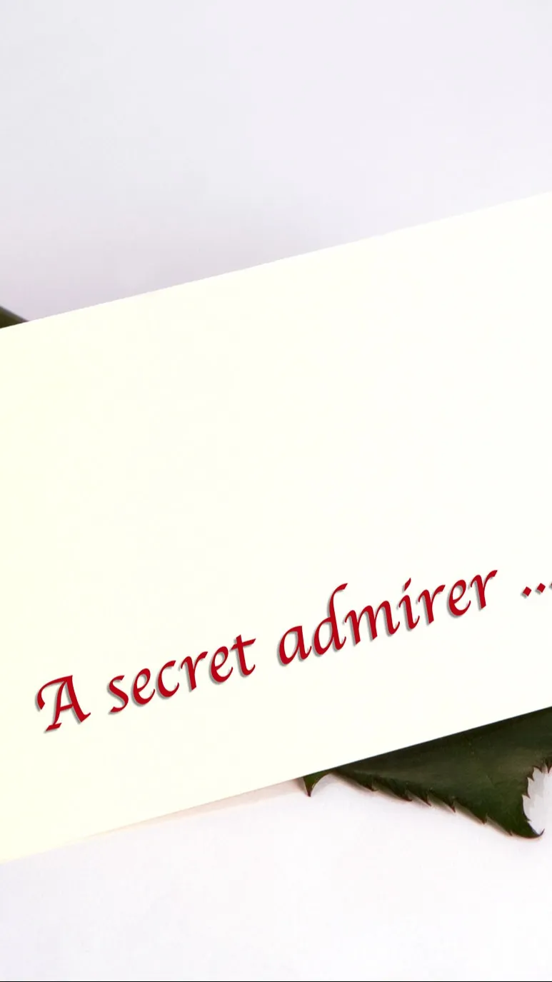 ai character: y/n secret admirer background