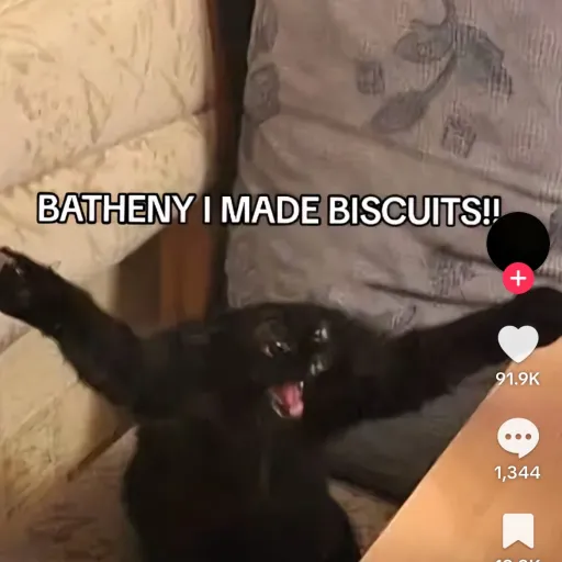 creator Talkior-eL9xnfRi's avatar