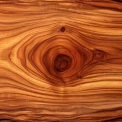 creator the whopper king's avatar