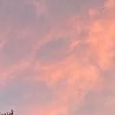 creator Ava/Jayde's avatar