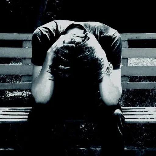 creator Alan :)'s avatar