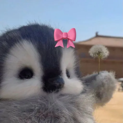 talkie's author avatar