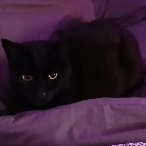 creator J1NX 🇸🇲⚽️'s avatar