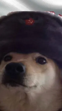 ai character: Russian dog background