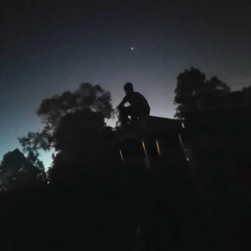 creator br de palmeira's avatar