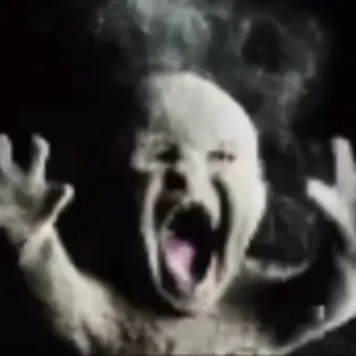 creator ✨Xavier Here✨'s avatar