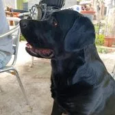 creator Mara🥑🫶🏻💚's avatar