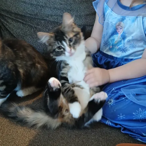 creator rumiiiiii34's avatar