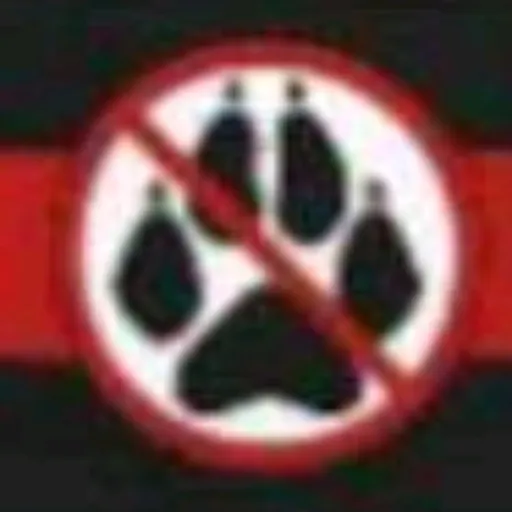 creator anti furro's avatar