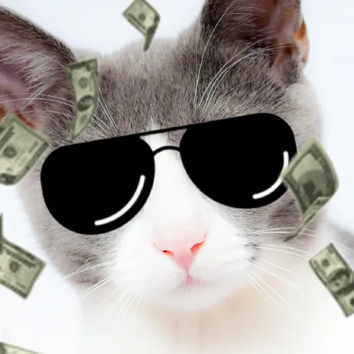 creator estrelllas's avatar