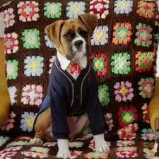 creator ∆™spark✓™∆'s avatar