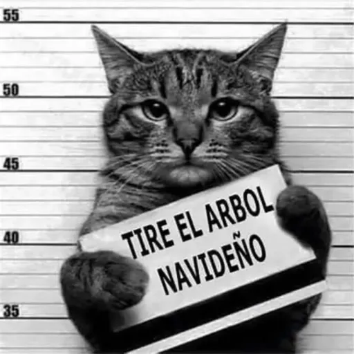 creator GABRIELRPJ10's avatar