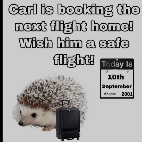 creator Carl1231's avatar