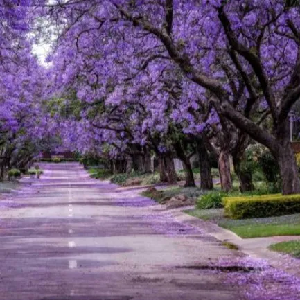 creator Talkior-kj3hIV5m's avatar