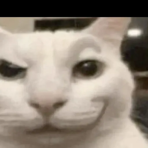 creator idk3853's avatar