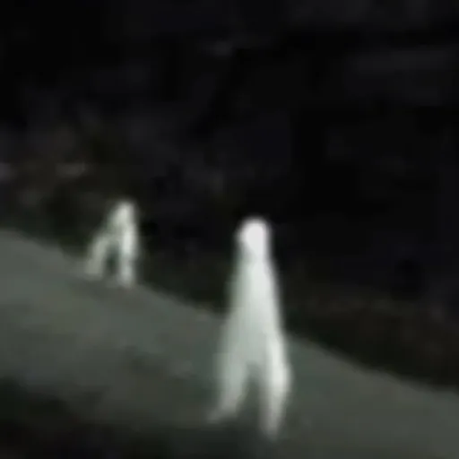 creator H@NN1BL3's avatar