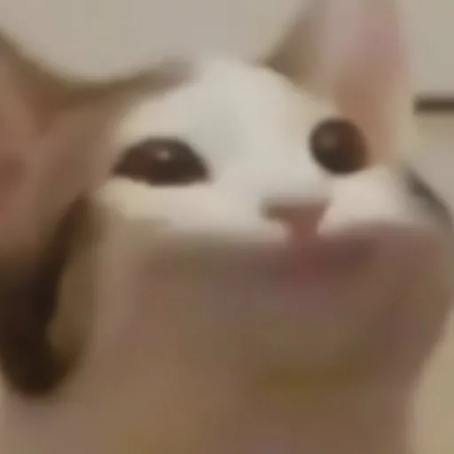 creator Talkiorxyox's avatar