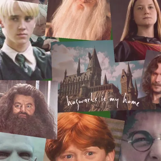 creator Amber Malfoy ✨♥🐍's avatar