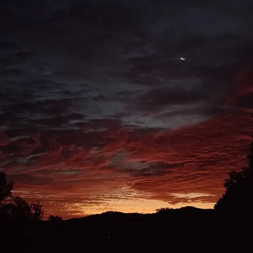 creator Sophia_04's avatar