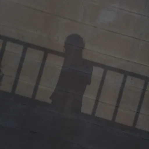 talkie's author avatar