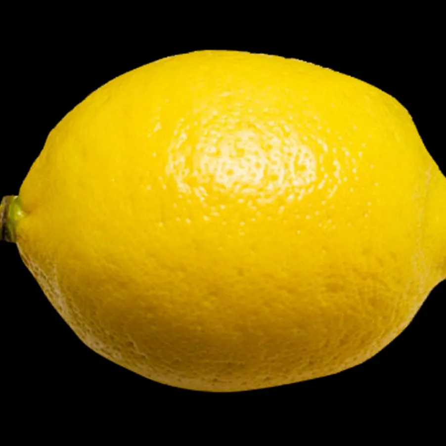 chat with ai character: Lethal Company