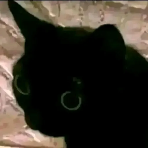 creator Black Michi's avatar