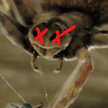 chat with ai character: Charlotte's death