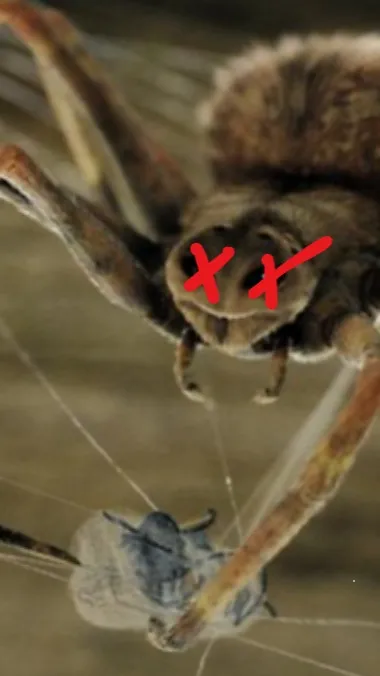 ai character: Charlotte's death background