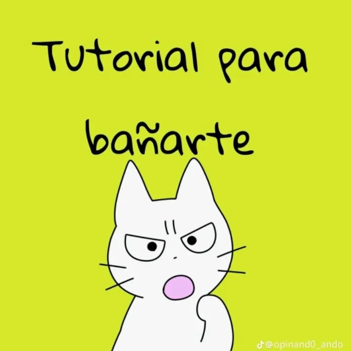 chat with ai character: Tutorial de baño