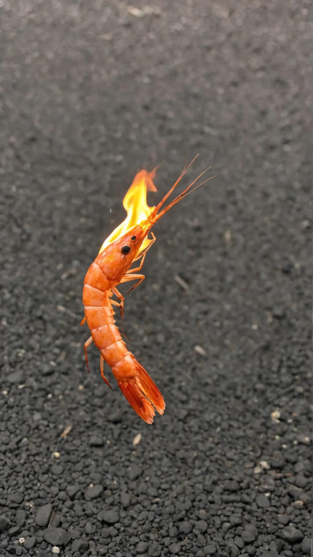 ai character: shrimpo background